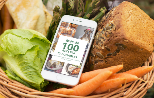 Recetario Saludable para Perros (Ebook) + 6 Bonos