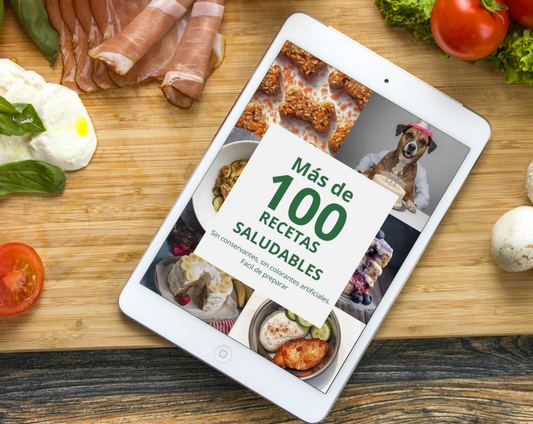 Recetario Saludable para Perros (Ebook) + 6 Bonos